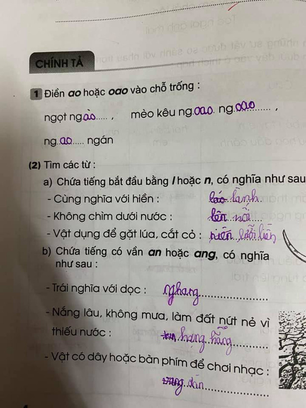 Học sinh lớp 1 điền thành ngữ đến cô giáo cũng không ngờ lầy đến thế, câu cuối còn được khen hay hơn cả bản gốc-5