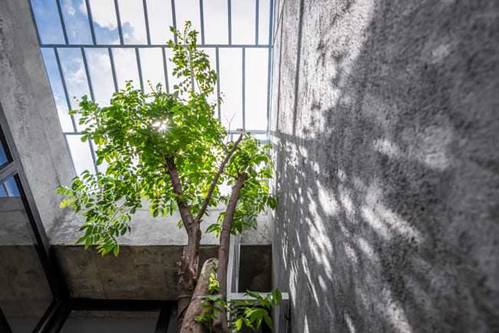 Nhà ống không phòng khách cực dị của vợ chồng trẻ ở Đồng Nai-6