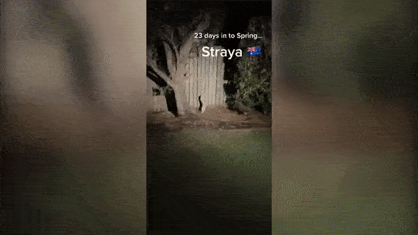 Cảnh tượng 2 bé Na nhảy múa uốn éo trong sân vườn trông hài hước nhưng khi nhân chứng tiết lộ lý do lập tức khiến dân mạng hãi hùng-1