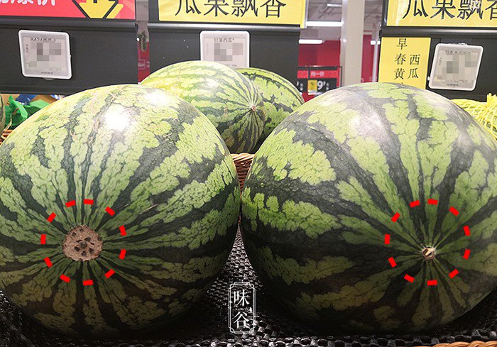 Muốn mua dưa hấu ngọt phải chọn quả cái, chọn sai dưa vừa nhạt vỏ lại dày-1