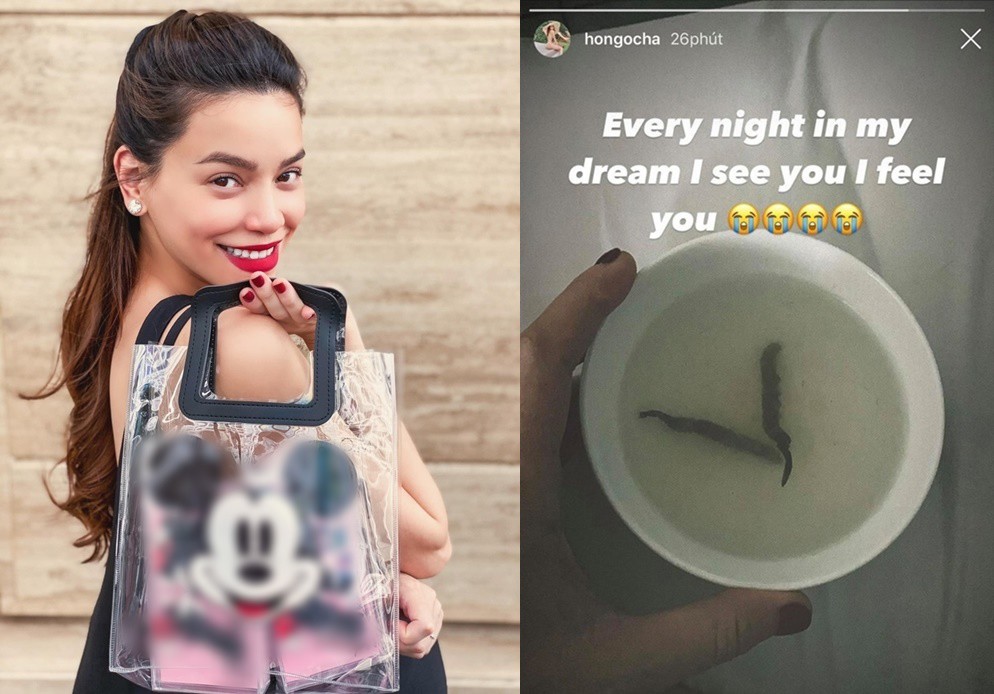 Mỹ nhân Việt bồi bổ con trong bụng: Em gái Trấn Thành ăn thịt 20 triệu, Hà Hồ mới sang-1