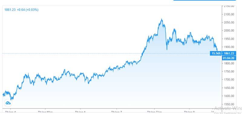 Chặn đà giảm sâu, nỗi lo vàng tăng ngược lên 60 triệu/lượng-1
