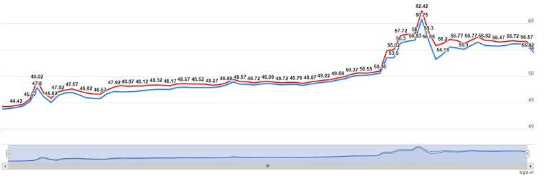 Chặn đà giảm sâu, nỗi lo vàng tăng ngược lên 60 triệu/lượng-2