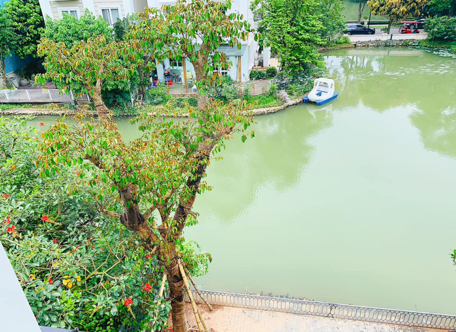 Cuộc sống nhung lụa, giàu sang của Lã Thanh Huyền ở tuổi 35-4