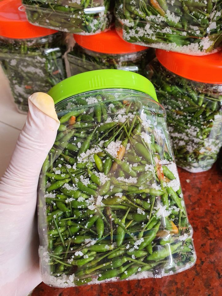 Ớt gió ngậm sương trên cao nguyên đá bé tí teo mà giá lên đến 300-500 ngàn/kg vẫn đắt khách đặt mua-3