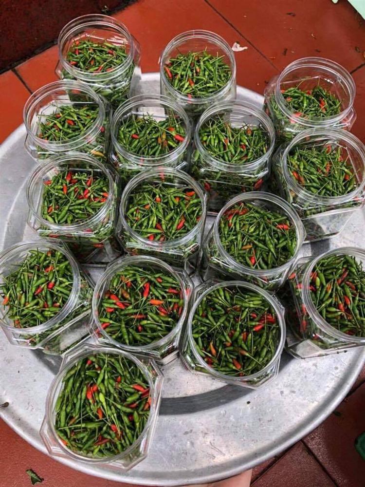 Ớt gió ngậm sương trên cao nguyên đá bé tí teo mà giá lên đến 300-500 ngàn/kg vẫn đắt khách đặt mua-4