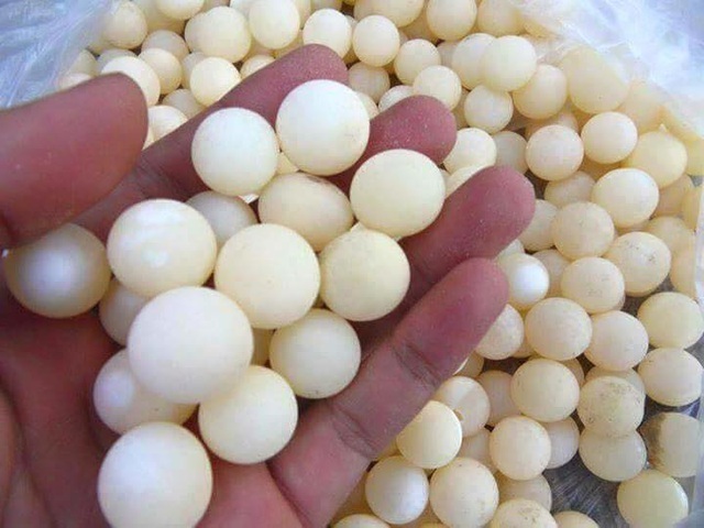 Kinh hãi với những món ăn tẩm bổ tiền triệu của nhà giàu Việt-4