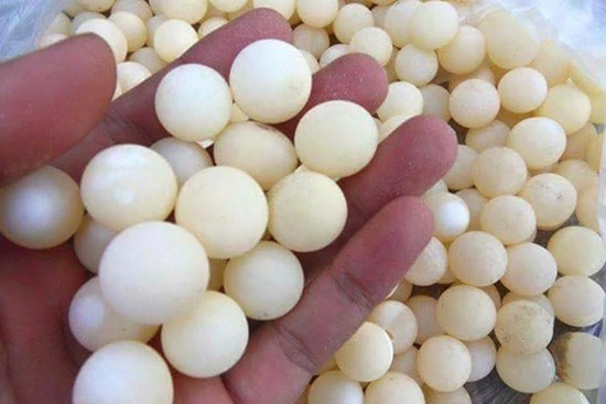 'Kinh hãi' với những món ăn tẩm bổ tiền triệu của nhà giàu Việt