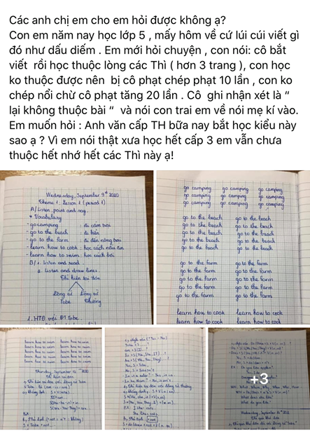 Ấm ức vì con bị cô giáo bắt chép phạt 20 lần, bà mẹ lên mạng tố cáo nhưng không ngờ các vị phụ huynh khác đều có chung một câu trả lời-1