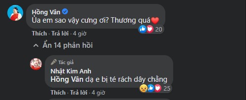 Nhật Kim Anh bất ngờ bị ngã rách dây chằng ở chân, phải ngừng công việc trong vòng 2 tuần-4