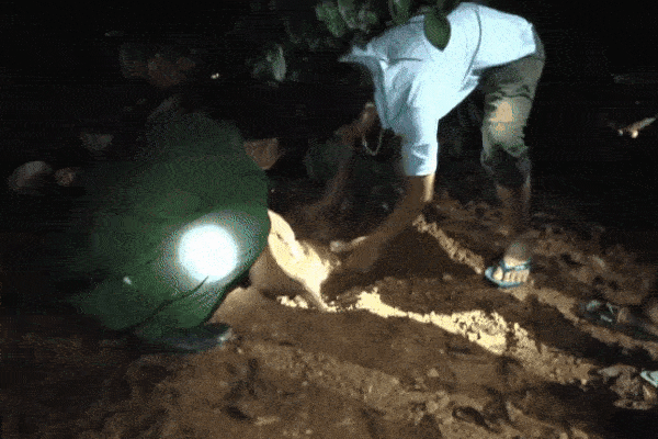 Bộ Công an: Ma túy trà sữa len lỏi vào trường học-2