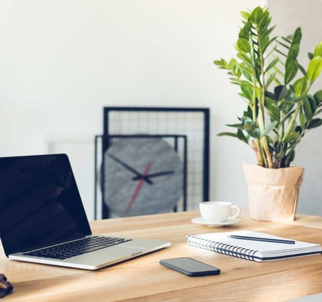 Các mẫu cây cảnh để bàn đẹp, hợp tuổi, hợp mệnh phong thủy-3