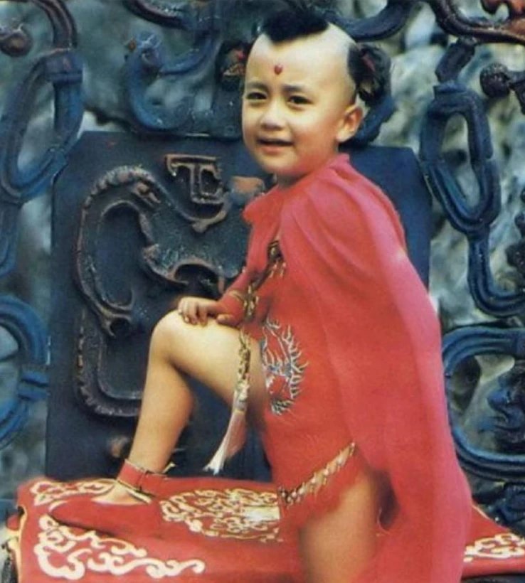 Bất ngờ trước cuộc sống hiện tại của Hồng Hài Nhi Triệu Hân Bồi: Từ giã làng giải trí để trở thành triệu phú công nghệ Trung Quốc-2