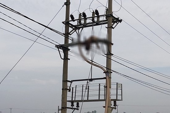 Hải Phòng: Phát hiện người chết treo trên trạm biến áp lúc rạng sáng