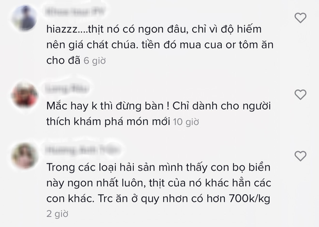 Loài bọ biển ngon hơn cả tôm hùm, đắt xắt ra miếng-9