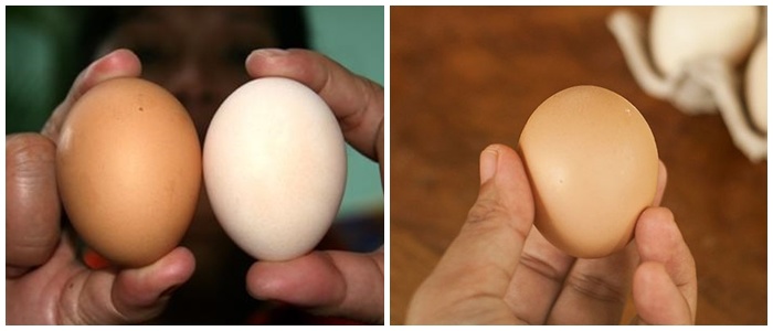 Mua trứng nên chọn quả to hay nhỏ thì ngon, chuyên gia mách sự thật ai cũng bất ngờ-1