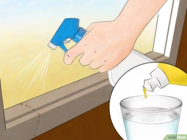 Dùng nguyên liệu tự nhiên sẵn có, cách diệt kiến trong nhà đơn giản hơn bao giờ hết mà không cần hóa chất chuyên dụng-2