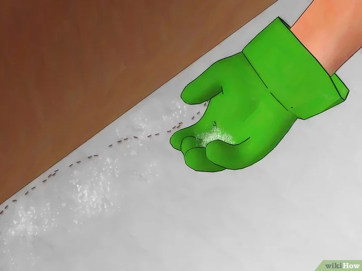 Dùng nguyên liệu tự nhiên sẵn có, cách diệt kiến trong nhà đơn giản hơn bao giờ hết mà không cần hóa chất chuyên dụng-6