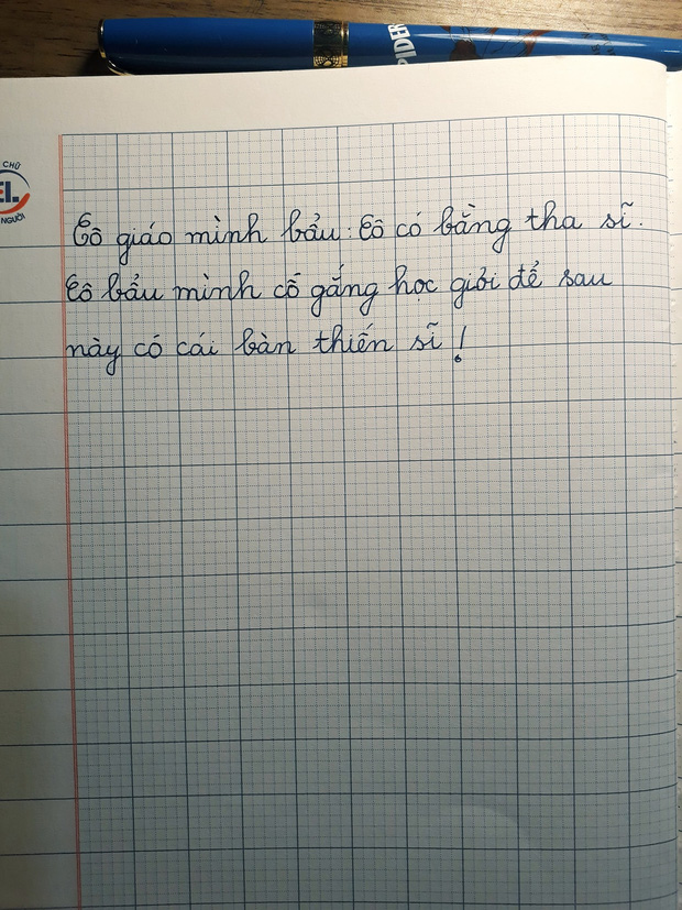 Yêu cầu tả người thân, cậu bé lớp 1 viết nguyên cả trang giấy nhưng người mẹ giật mình kêu viết lại còn dân mạng ôm bụng cười lăn-3