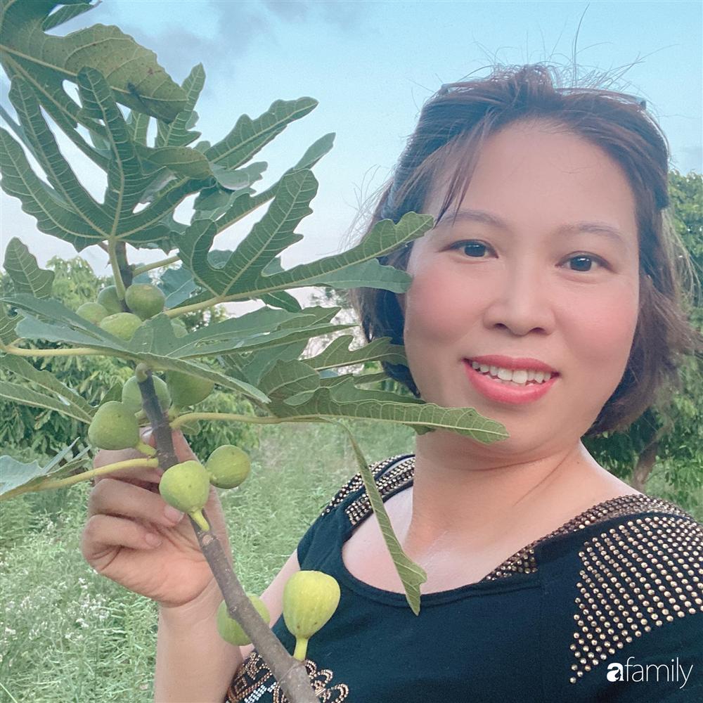 Tận dụng sân thượng chung cư, nữ giám đốc ở Hà Nội đã trồng được một vườn rau đủ loại rau quả sạch với 8 triệu tiền đầu tư-3