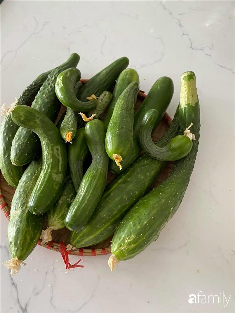 Tận dụng sân thượng chung cư, nữ giám đốc ở Hà Nội đã trồng được một vườn rau đủ loại rau quả sạch với 8 triệu tiền đầu tư-14