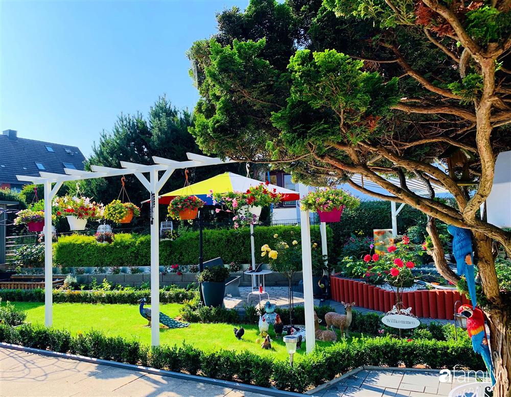 Vườn hoa 500m² đẹp như cổ tích được tạo bởi tình yêu thiên nhiên của cặp vợ chồng dành cả thanh xuân để trồng cây-2