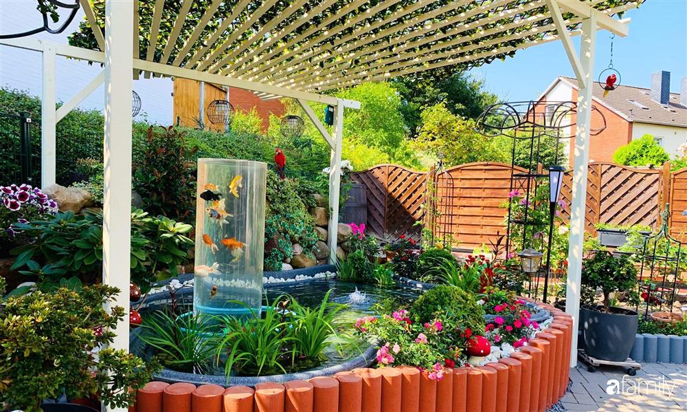 Vườn hoa 500m² đẹp như cổ tích được tạo bởi tình yêu thiên nhiên của cặp vợ chồng dành cả thanh xuân để trồng cây-4