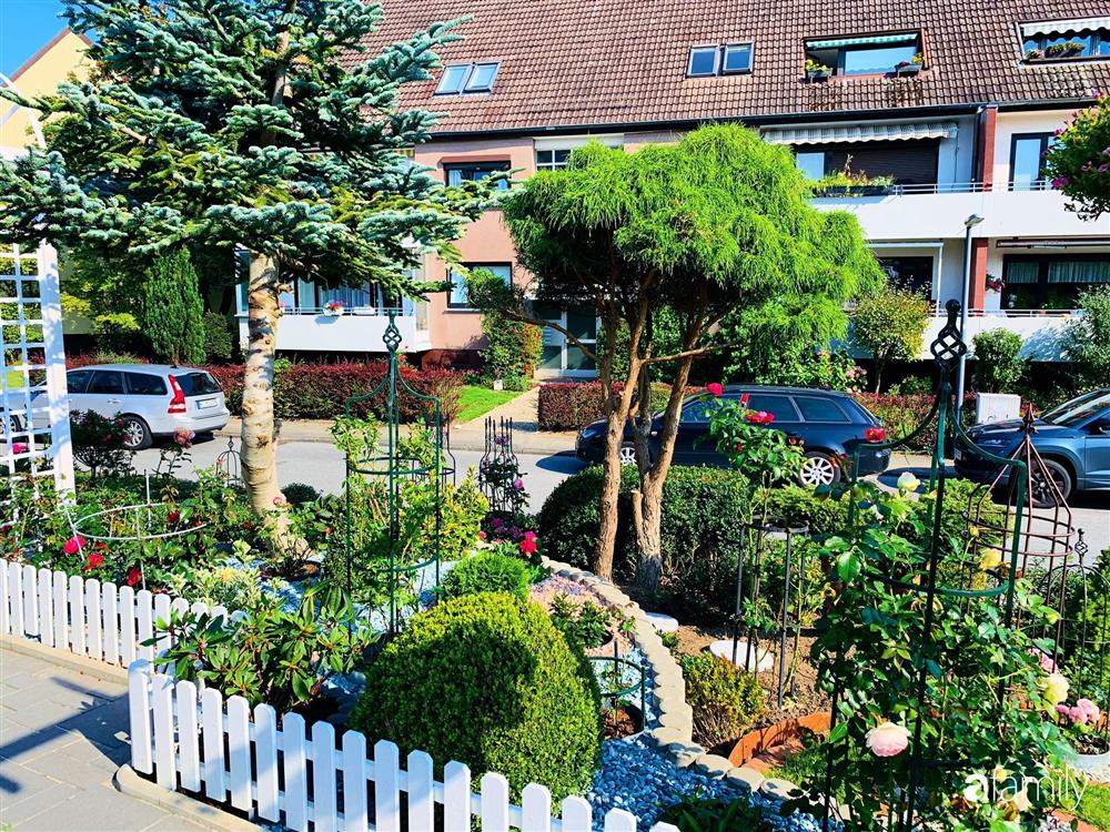 Vườn hoa 500m² đẹp như cổ tích được tạo bởi tình yêu thiên nhiên của cặp vợ chồng dành cả thanh xuân để trồng cây-6