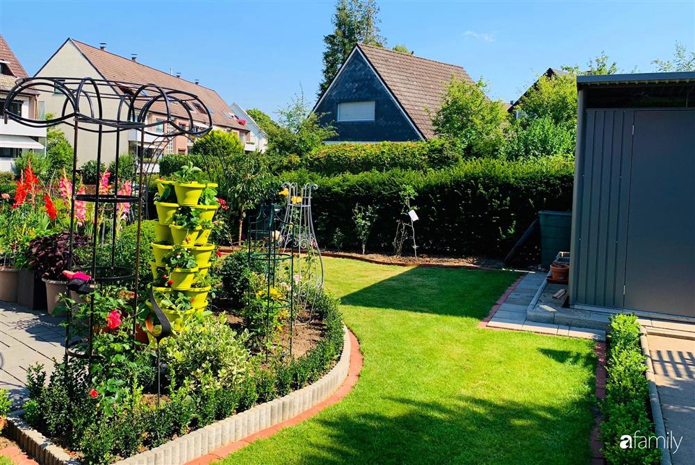 Vườn hoa 500m² đẹp như cổ tích được tạo bởi tình yêu thiên nhiên của cặp vợ chồng dành cả thanh xuân để trồng cây-7