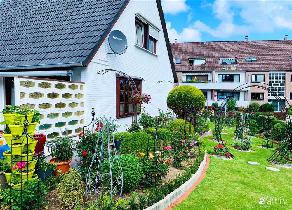 Vườn hoa 500m² đẹp như cổ tích được tạo bởi tình yêu thiên nhiên của cặp vợ chồng dành cả thanh xuân để trồng cây-12