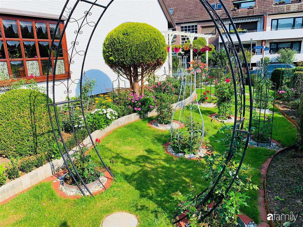 Vườn hoa 500m² đẹp như cổ tích được tạo bởi tình yêu thiên nhiên của cặp vợ chồng dành cả thanh xuân để trồng cây-23