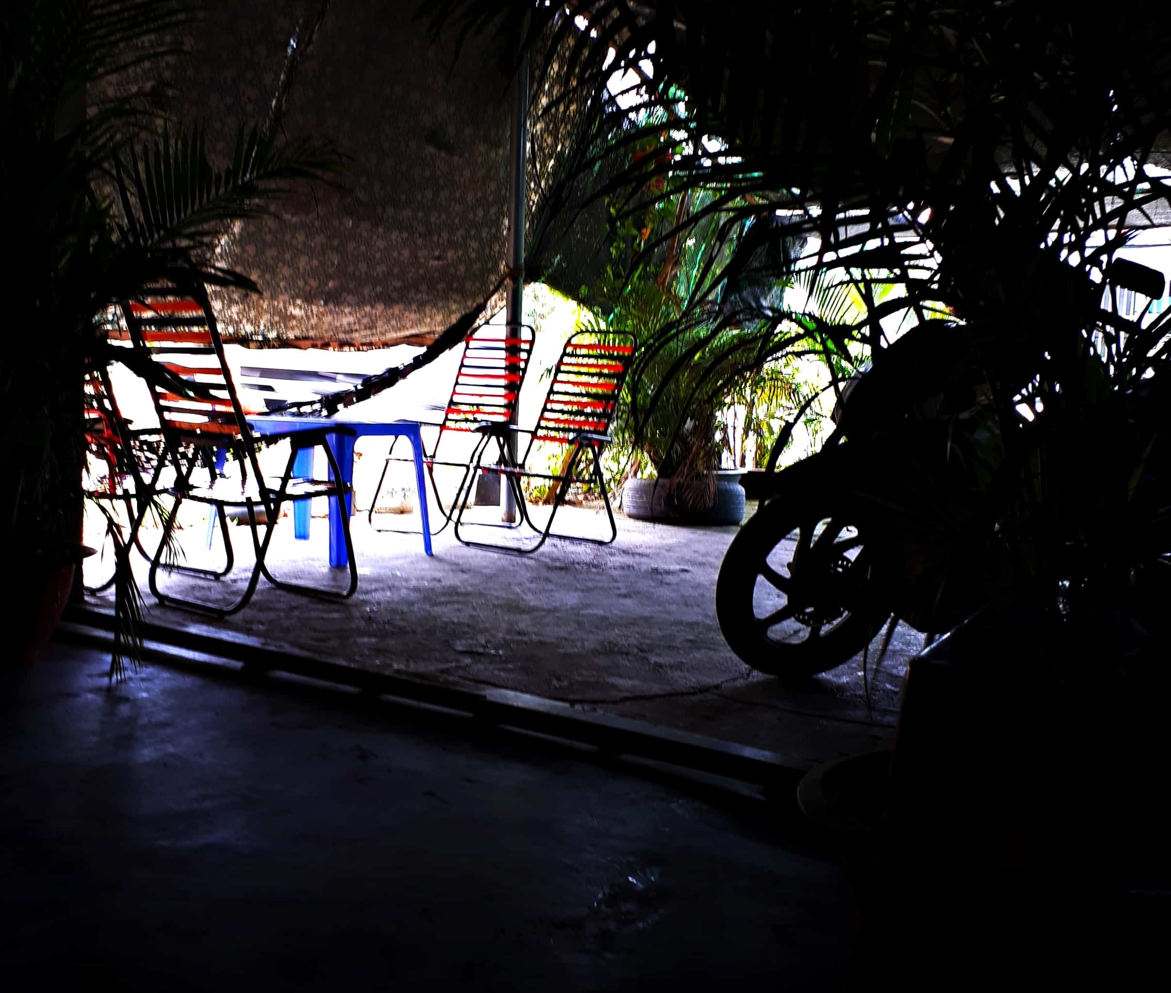 Bí mật ở cà phê sung sướng: Gái trẻ ra chiêu, cụ ông rút ruột chiều người đẹp-1