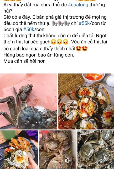 Loại cua nhà giàu bán tràn lan chỉ từ 45.000 đồng/con, tiểu thương tiết lộ sự thật-2