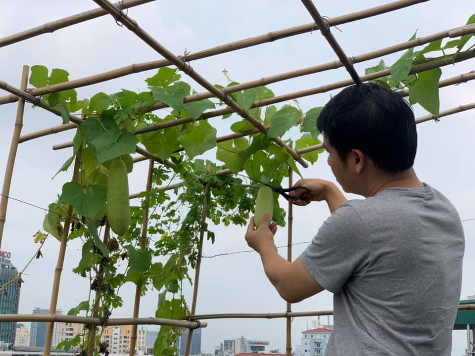 Nhà sang nhiều cây xanh của vợ chồng ca sĩ Trọng Tấn-6