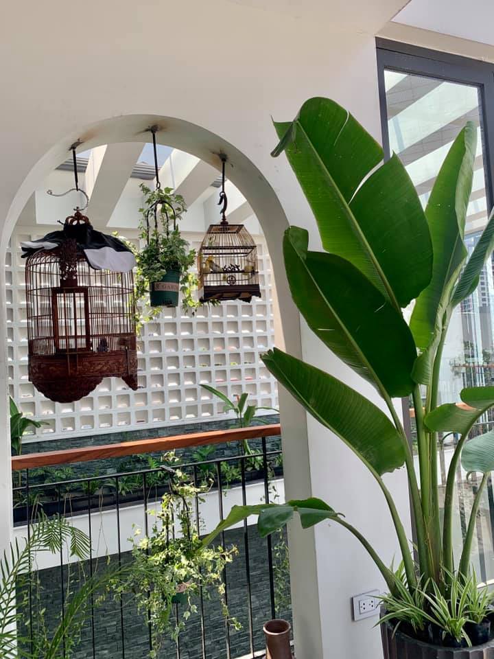 Nhà sang nhiều cây xanh của vợ chồng ca sĩ Trọng Tấn-9