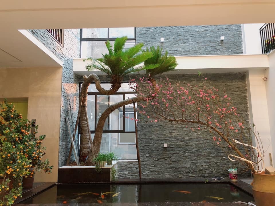 Nhà sang nhiều cây xanh của vợ chồng ca sĩ Trọng Tấn-13