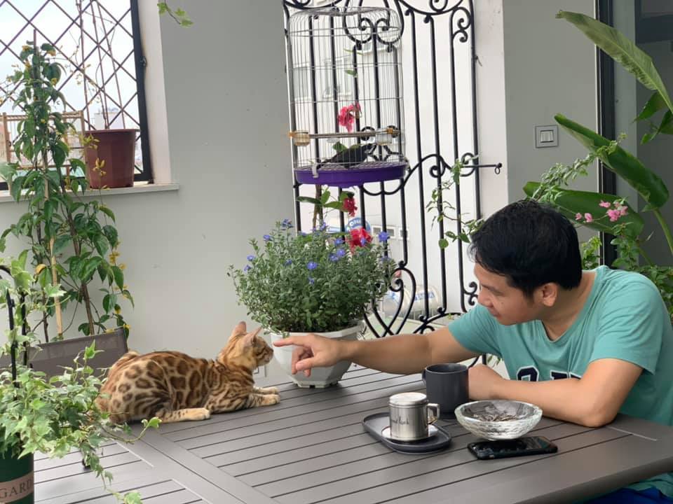 Nhà sang nhiều cây xanh của vợ chồng ca sĩ Trọng Tấn-16