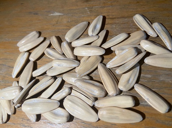 Cùng phát hiện ung thư ruột giai đoạn cuối, 2 vợ chồng 60 tuổi gục xuống khi biết lý do là món ăn vặt mà mình vẫn gặm nhấm mỗi ngày-1