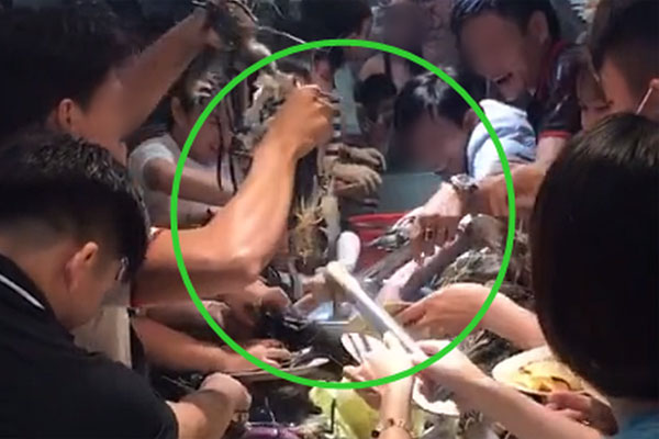 Nhà hàng buffet ở Đà Nẵng bị dân mạng tấn công sau loạt lùm xùm phạt khách 200k vì để thừa 2.9 lạng rau-8