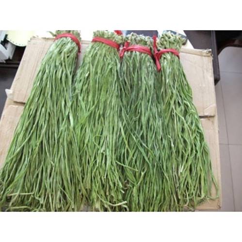 Việt Nam có 10 loại rau rừng mọc dại giá đắt cắt cổ, có tiền chưa chắc đã mua được-7