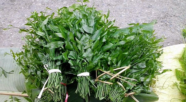Việt Nam có 10 loại rau rừng mọc dại giá đắt cắt cổ, có tiền chưa chắc đã mua được-11