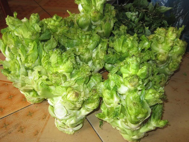 Việt Nam có 10 loại rau rừng mọc dại giá đắt cắt cổ, có tiền chưa chắc đã mua được-17