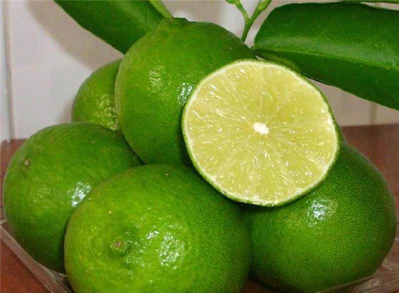 Chanh ta vào mùa, giá rẻ giật mình chỉ 10 ngàn/kg bán đầy các chợ-5