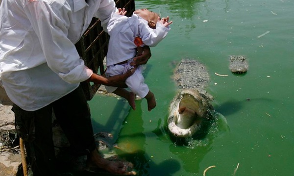 Người mẹ bất hạnh sinh 15 đứa con đều lần lượt bị ném cho cá sấu ăn thịt với lý do khó tin-1