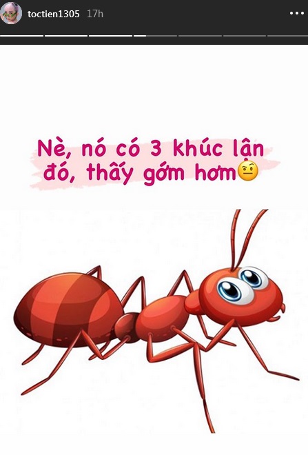 Tóc Tiên mong muốn sở hữu vòng eo con người thay vì chuẩn mực eo con kiến-3