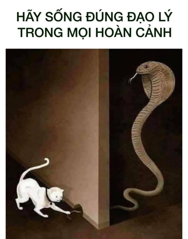 Trọng Hưng bị nghi ngờ mượn hình ảnh con rắn để cảnh cáo vợ cũ, nói đạo lý: Đừng thấy sang mà bắt quàng làm họ-3
