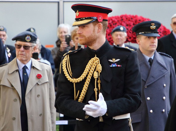 Hoàng gia Anh vừa có động thái dứt khoát loại Harry ra khỏi nội bộ gia tộc, anh trai William cũng được gọi tên trong quyết định mới-2