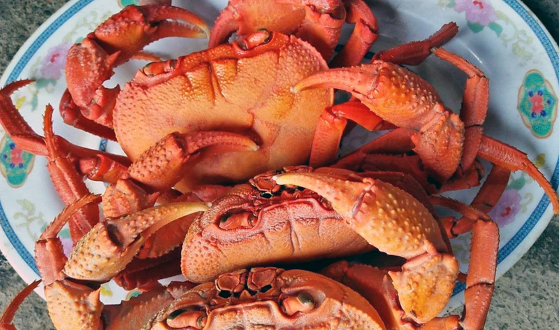 Cua núi đá ăn lá rừng: Đặc sản Hà Giang, ngon hơn cua biển-1