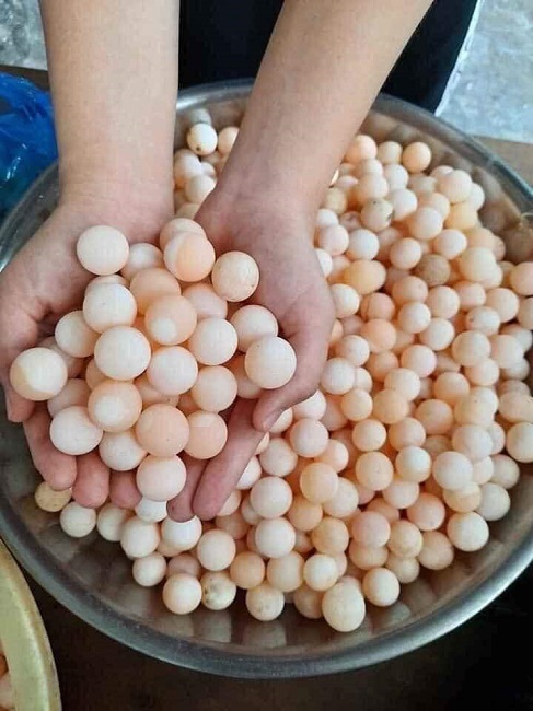 Kỳ lạ loại trứng tí hon bán theo cân, chị em mua cả trăm quả về tẩm bổ cho chồng-2