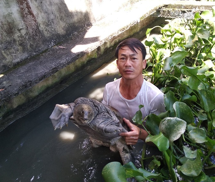 Kỳ lạ loại trứng tí hon bán theo cân, chị em mua cả trăm quả về tẩm bổ cho chồng-6